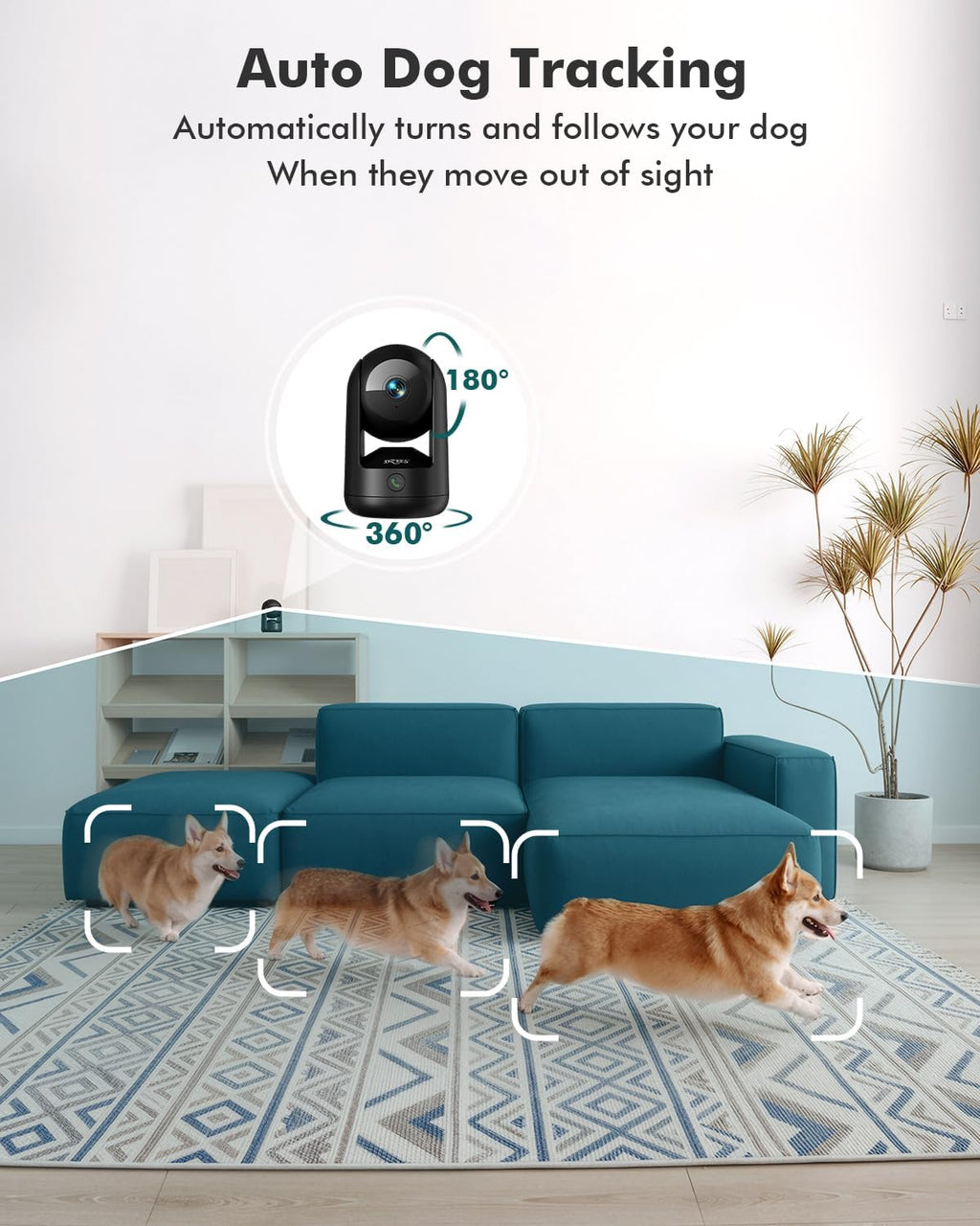 Dzees dual band WiFi camera illustrating the compact lifestyle placement on a living room shelf.
