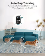 Dzees dual band WiFi camera illustrating the compact lifestyle placement on a living room shelf.