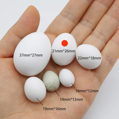 FOIBURELY non toxic solid dummy eggs set out in a nesting box setup for cockatiels and conures.