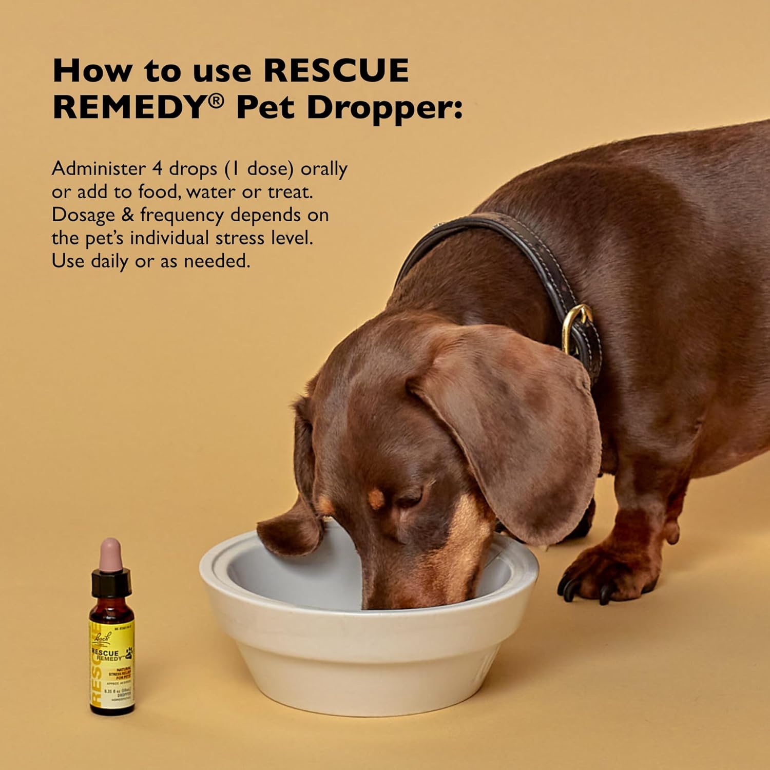 Alcohol free pet stress and tension support drops formula back label details