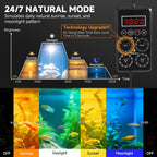 Fishkeeper programmable aquarium lamp illustrating the 24 7 sunrise and sunset cycle phases.