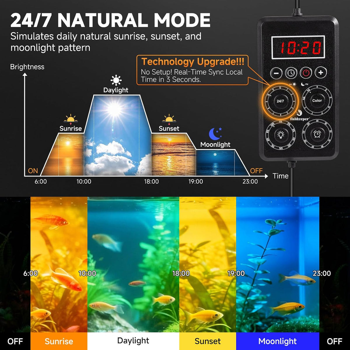 Fishkeeper programmable aquarium lamp illustrating the 24 7 sunrise and sunset cycle phases.