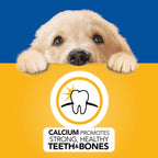 Pedigree Puppy Morsels in Sauce Beef flavor pouch