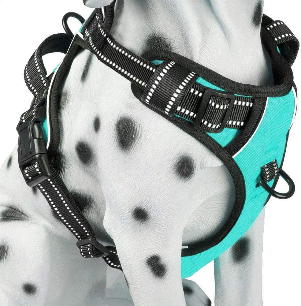 Poypet no pull dog harness mint blue front view