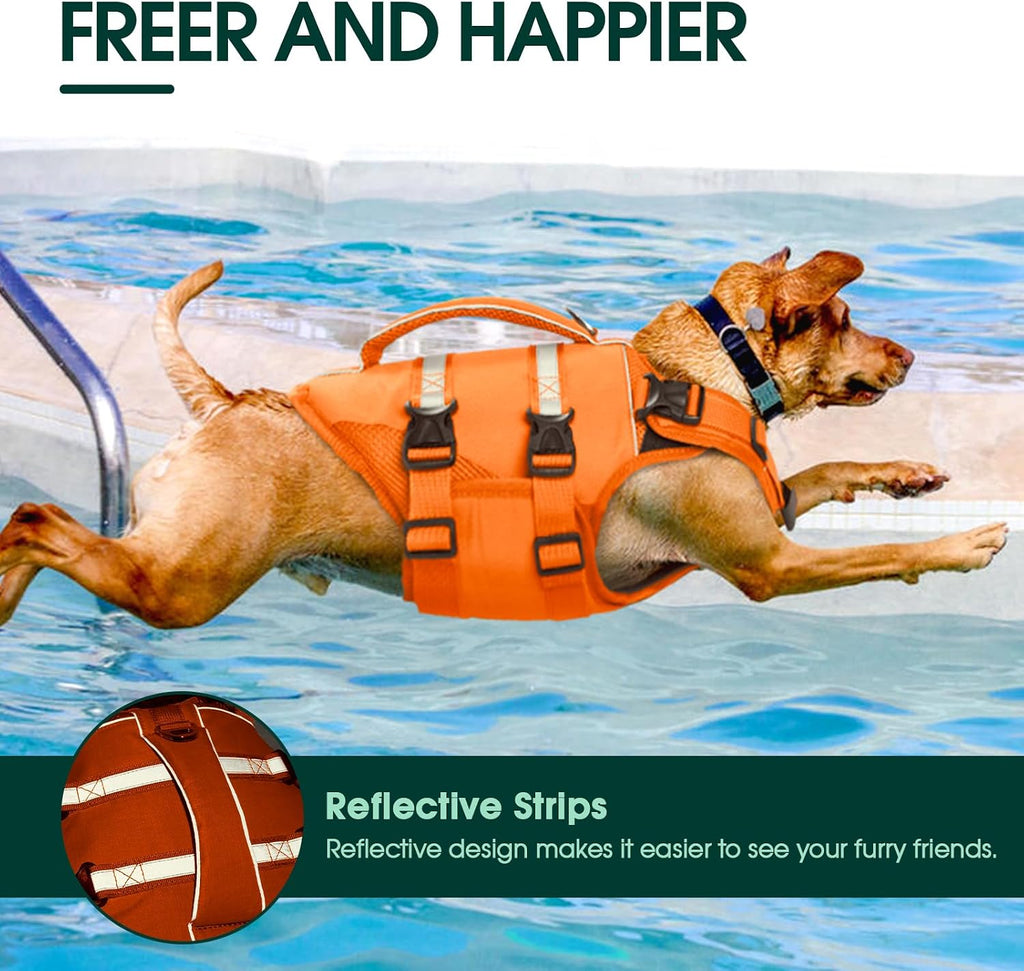 Kuoser high visibility dog jacket lifestyle view on a swimming puppy