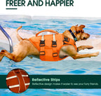 Kuoser high visibility dog jacket lifestyle view on a swimming puppy