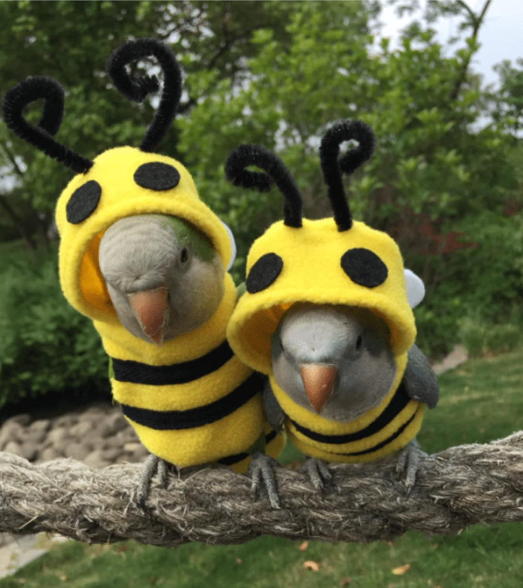 YANQIN bee bird costume flat lay