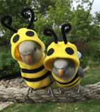 YANQIN bee bird costume flat lay