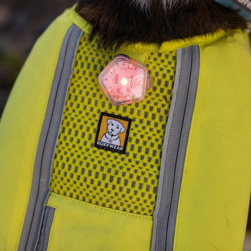 Compact and lightweight pet safety light showing the Micro USB charging port