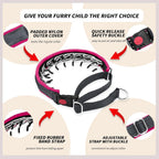 Reflective detail on Anglevate martingale dog collar for night safety