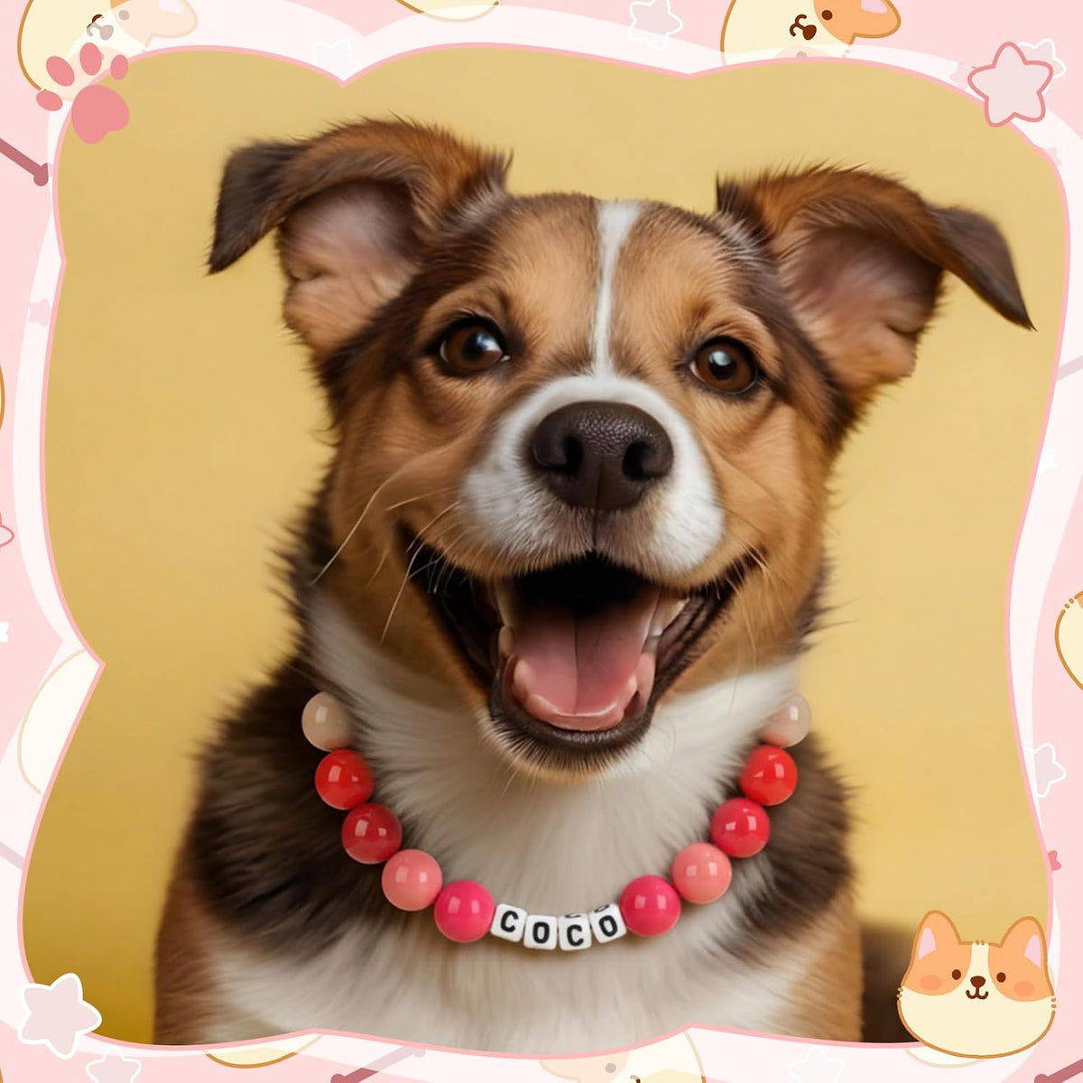 Quelay adjustable beaded pet bracelet and collar layout showcasing personalized name assembly