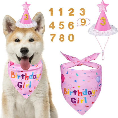 Dog Birthday Party Supplies, Dog Birthday Bandana Set, Dog Boy Girl Birthday Party Hat with Numbers for Large Medium Small Dogs Pet (Blue) - Image 14