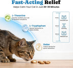 Feline anxiety relief crunchy shell treats container with clear dosage instructions