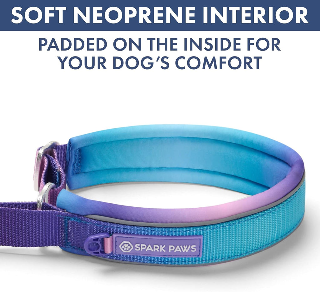 Spark Paws 90s retro dog collar hardware and webbing detail