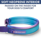 Spark Paws 90s retro dog collar hardware and webbing detail