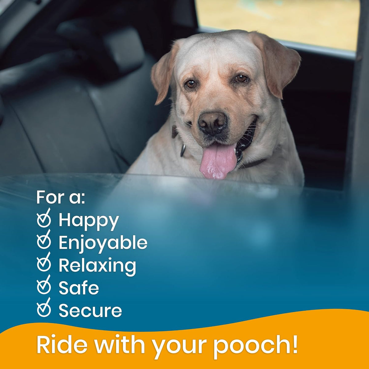 Authentic USA imported dog car restraint set