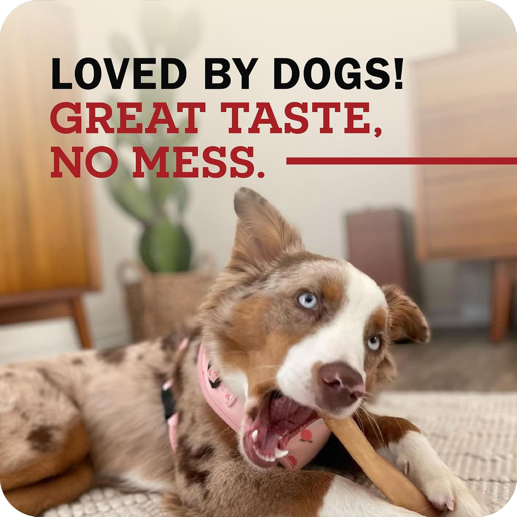 Large breed dog enjoying a healthy beef collagen chew