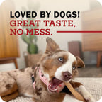 Large breed dog enjoying a healthy beef collagen chew