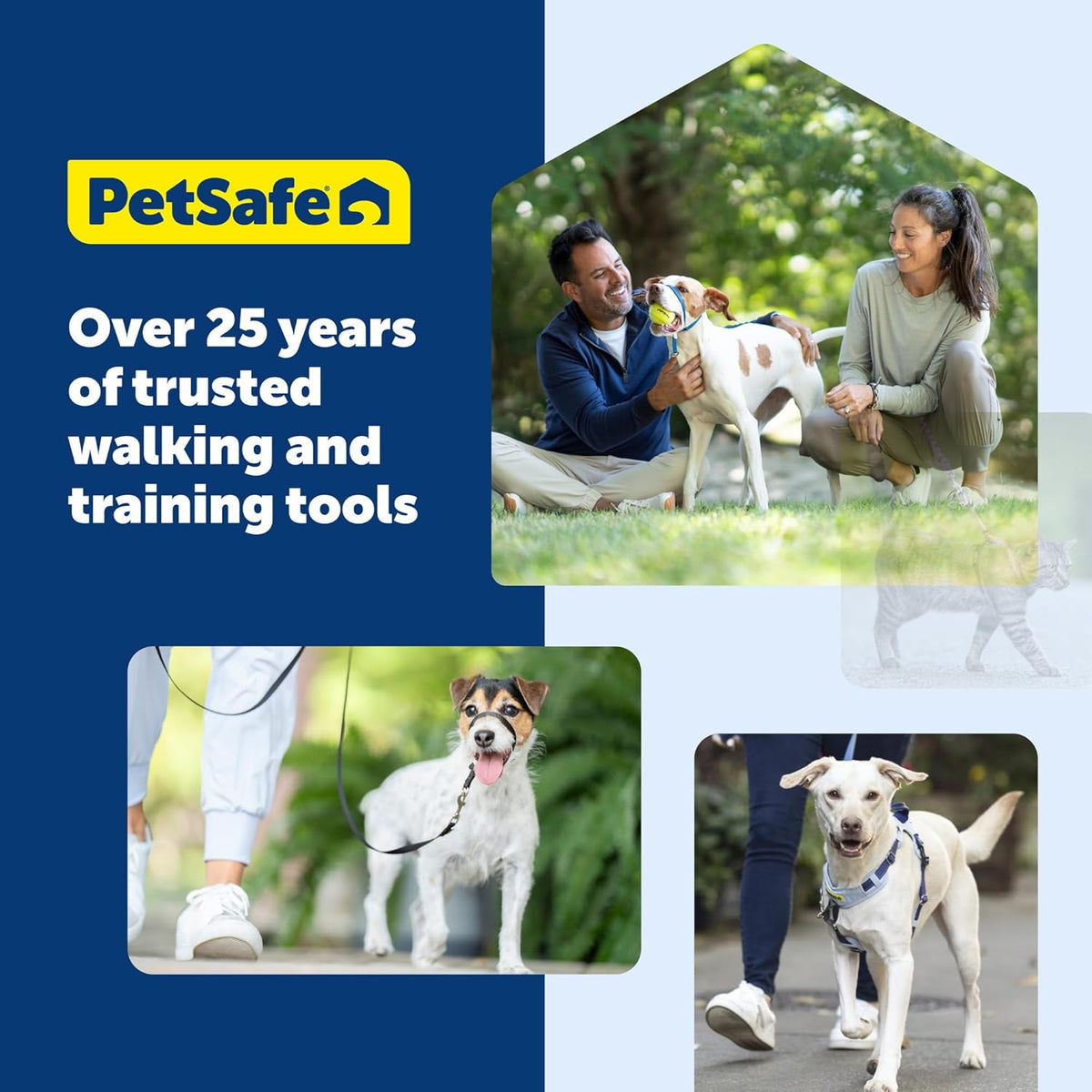 PetSafe dog leash paired with training harness