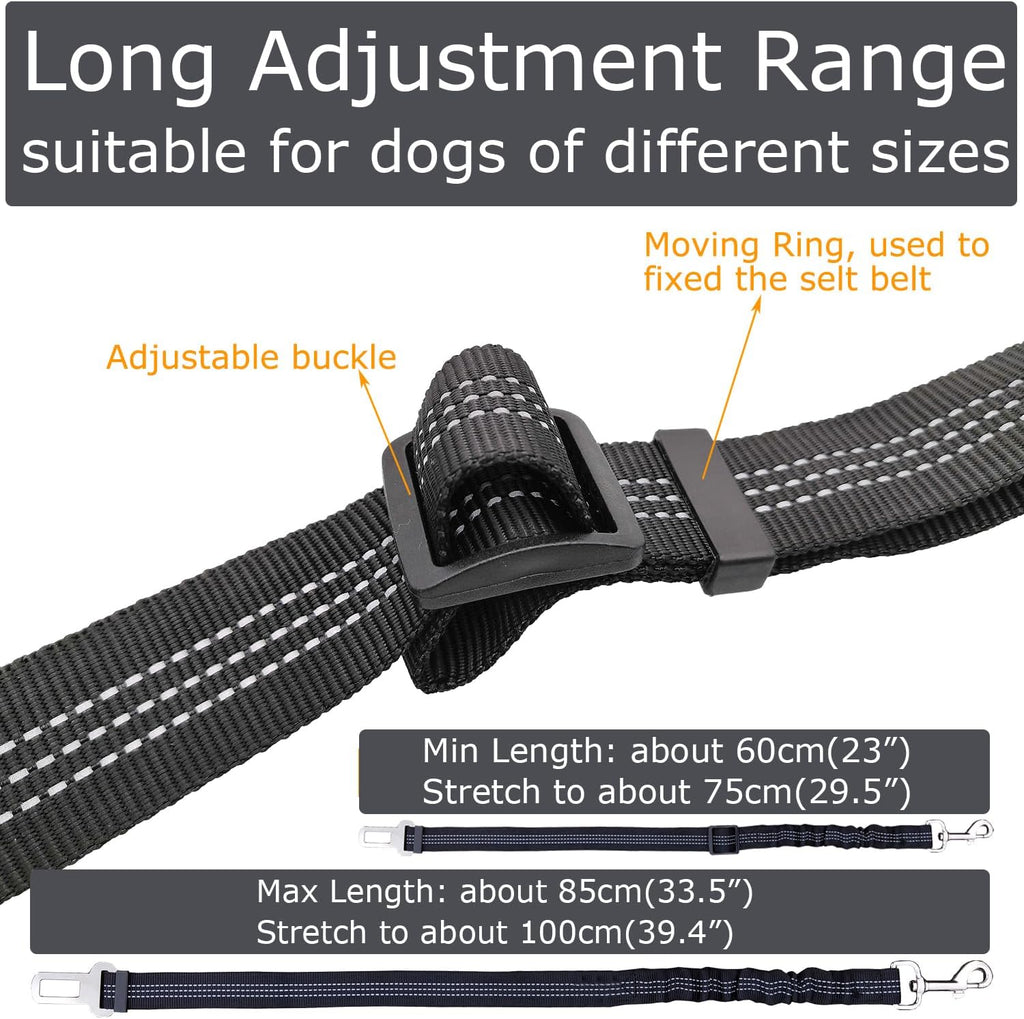Pet car harness leash with bungee shock absorber