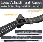 Pet car harness leash with bungee shock absorber