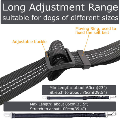 Pet car harness leash with bungee shock absorber