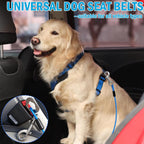 HaiYUAN dog car harness dual quick release buckle detail