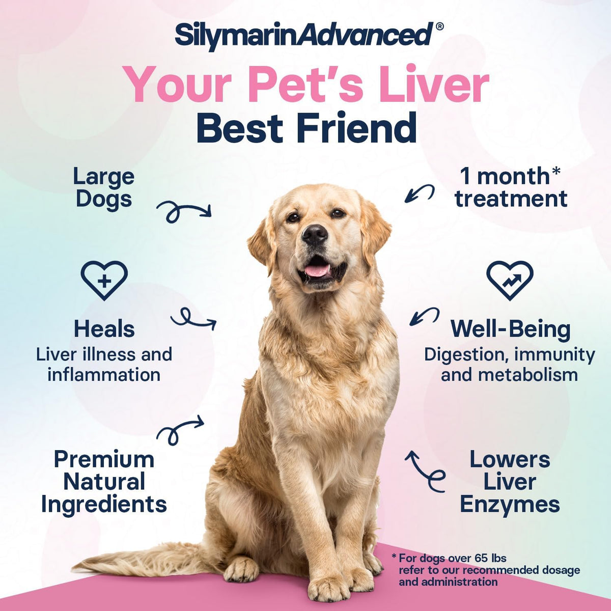 SilymarinAdvanced SAMe and silybin 30 tablets bottle layout