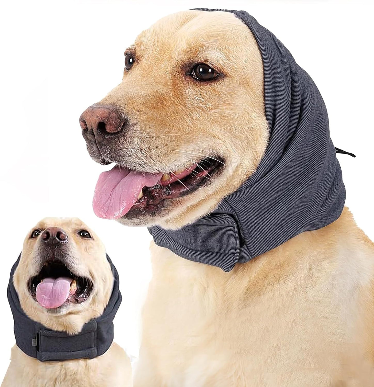 Tiagoboo calming wrap protecting a dog's long ears during mealtime