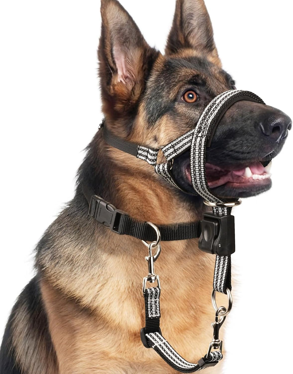 BARKLESS No Pull Dog Head Collar for Gentle Training Walking, Soft Padded Head Halter with Collar Safety Clip, Comfortable Fit Muzzle Leash with Reflective Strap for Medium Large Dog (Blue, L) - Image 10