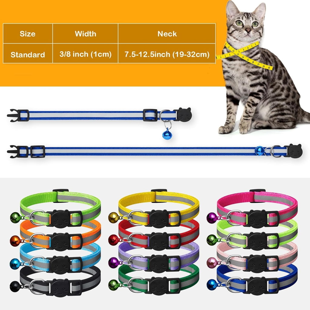 Customizable anti-lost address name tube ID tags for cats.
