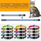 Customizable anti-lost address name tube ID tags for cats.