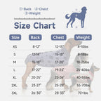 Full body view of a comfortable puppy wearing the anti licking post operative suit