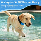 Components of Trihood flea and tick repellent pendant kit