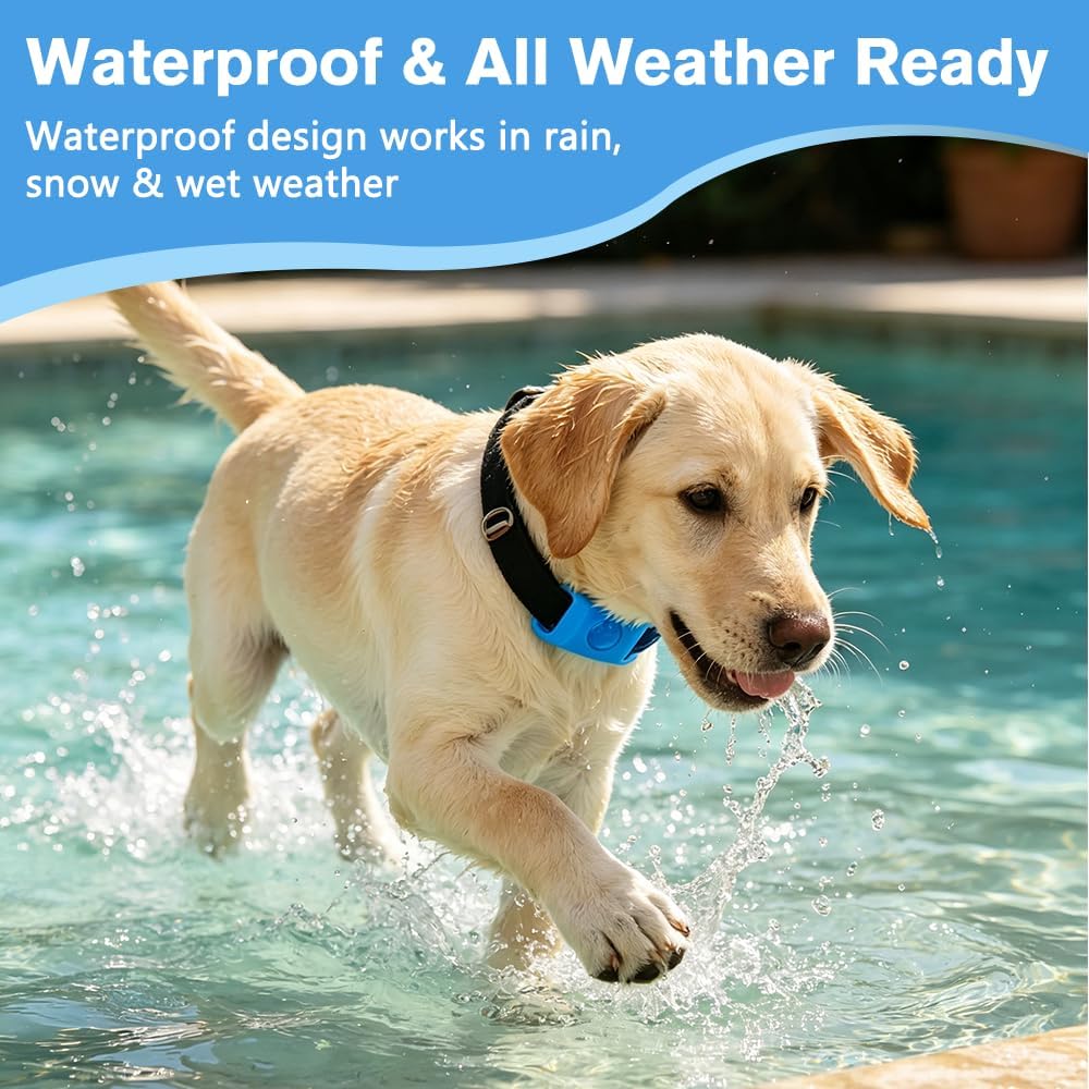 Components of Trihood flea and tick repellent pendant kit