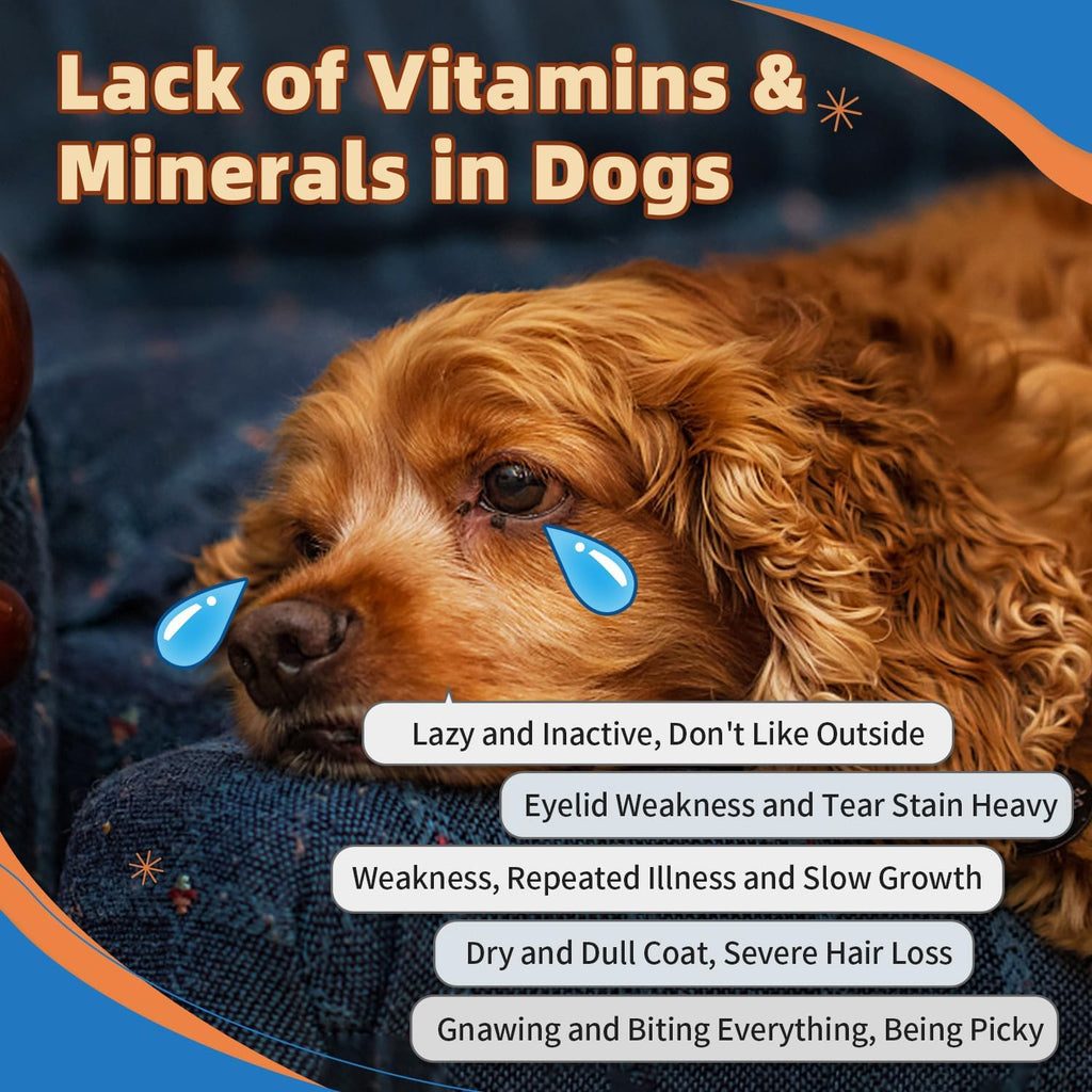 Zebora 15-in-1 pet supplement tub top view