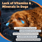 Zebora 15-in-1 pet supplement tub top view