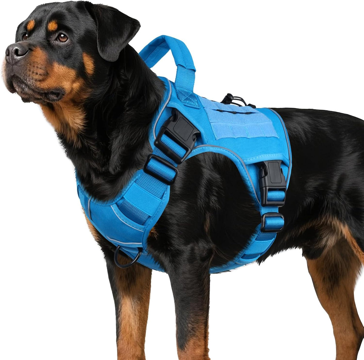 WINGOIN Tactical Dog Harness for Large Dogs, Heavy Duty No Pull Dog Harness with Handle, Adjustable Reflective Military K9 German Shepherd Big Size Dog Vest for Walking, Training, Hunting, Green (L) - Image 14