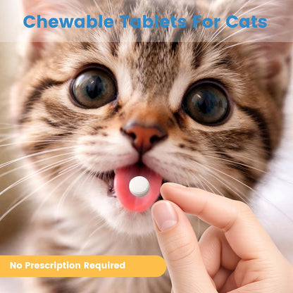 Side view of Morvequa cat dewormer box displaying active ingredients praziquantel and pyrantel pamoate.