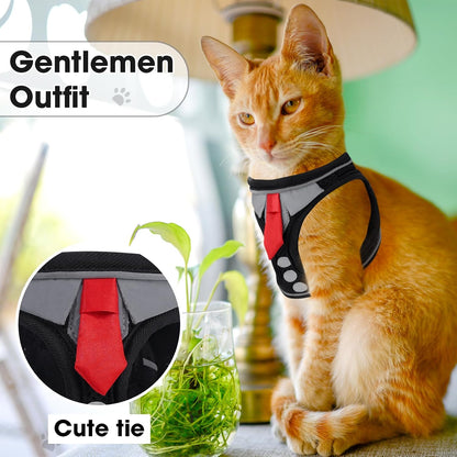 Adjustable step in cat harness showing the quick release buckle and magic tape closure