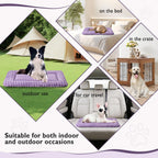 British Shorthair cat resting comfortably on Yaning dusty purple mat