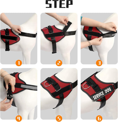 Removable Velcro patches on Mumupet small dog harness