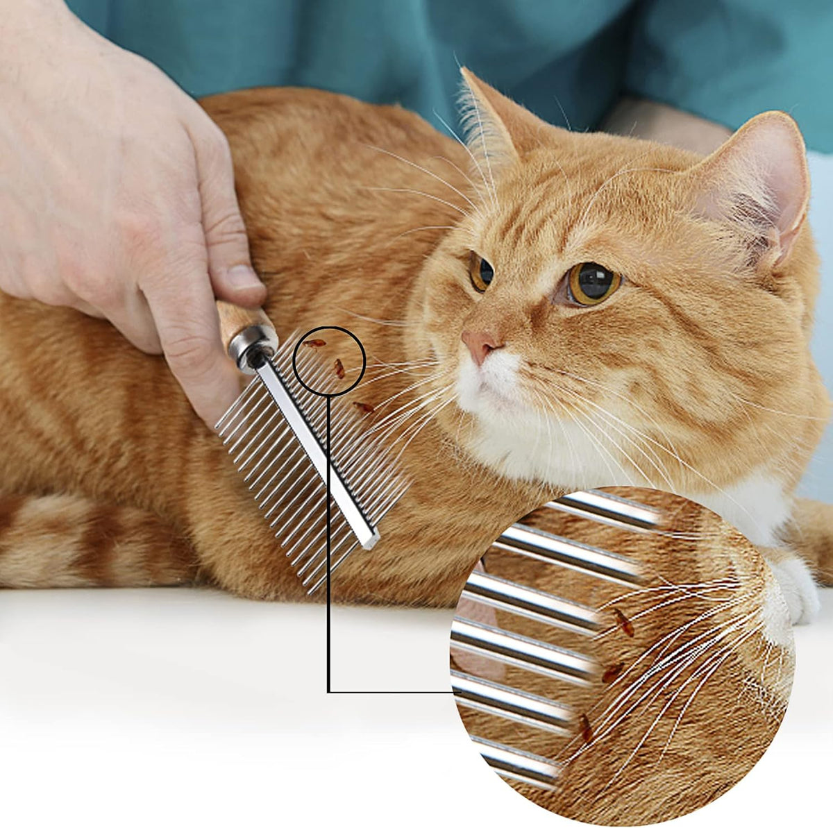Waterproof stainless steel long teeth comb showcasing rounded safe tips