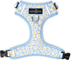 Lucy & Co. The Denim No-Pull Dog Harness - Size Small - Vest to Stop Pulling & Walk Easy - Comfortable Leash Training Product w/Adjustable Chest & Neck Straps - Image 10