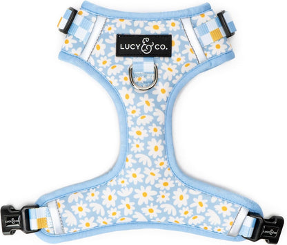Lucy & Co. The Denim No-Pull Dog Harness - Size Small - Vest to Stop Pulling & Walk Easy - Comfortable Leash Training Product w/Adjustable Chest & Neck Straps - Image 10