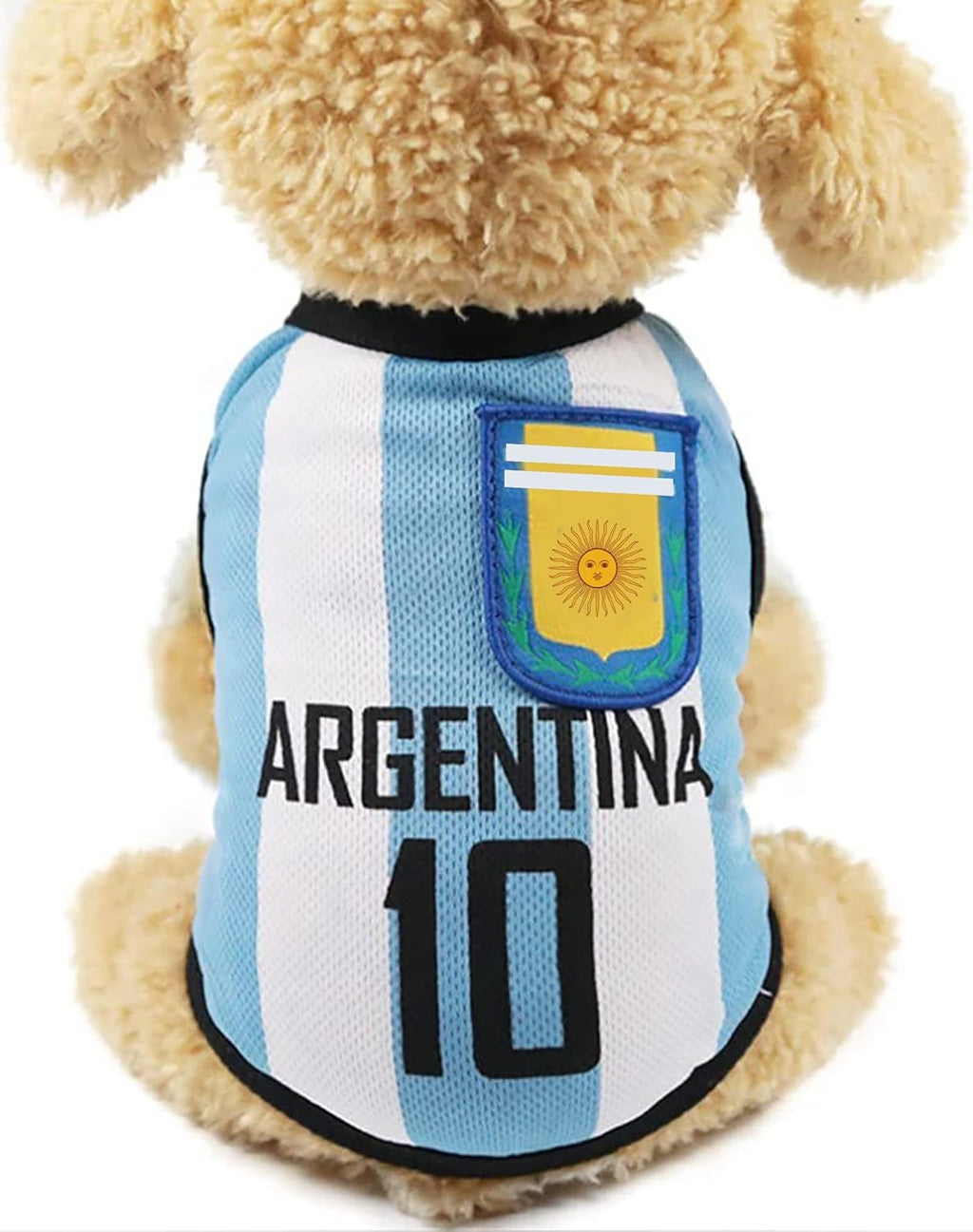 GabeFish Argentina dog football jersey front view