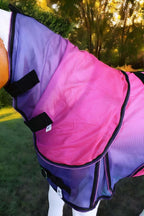Challenger 40 inch weanling donkey pony blanket showing stainless steel buckles