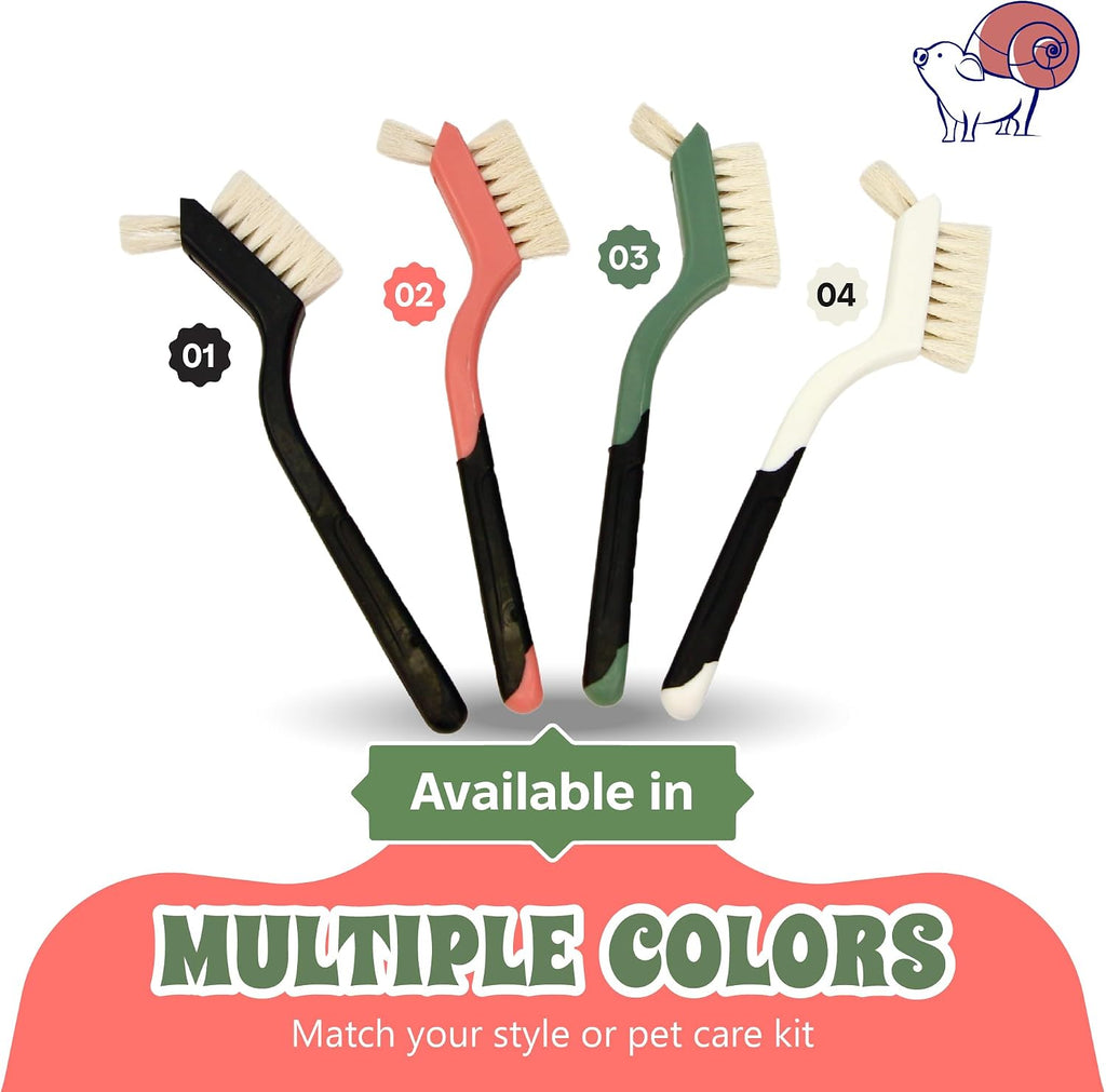 Snout And Shell Turtle Cleaning Brush blue bristles flexibility demonstration