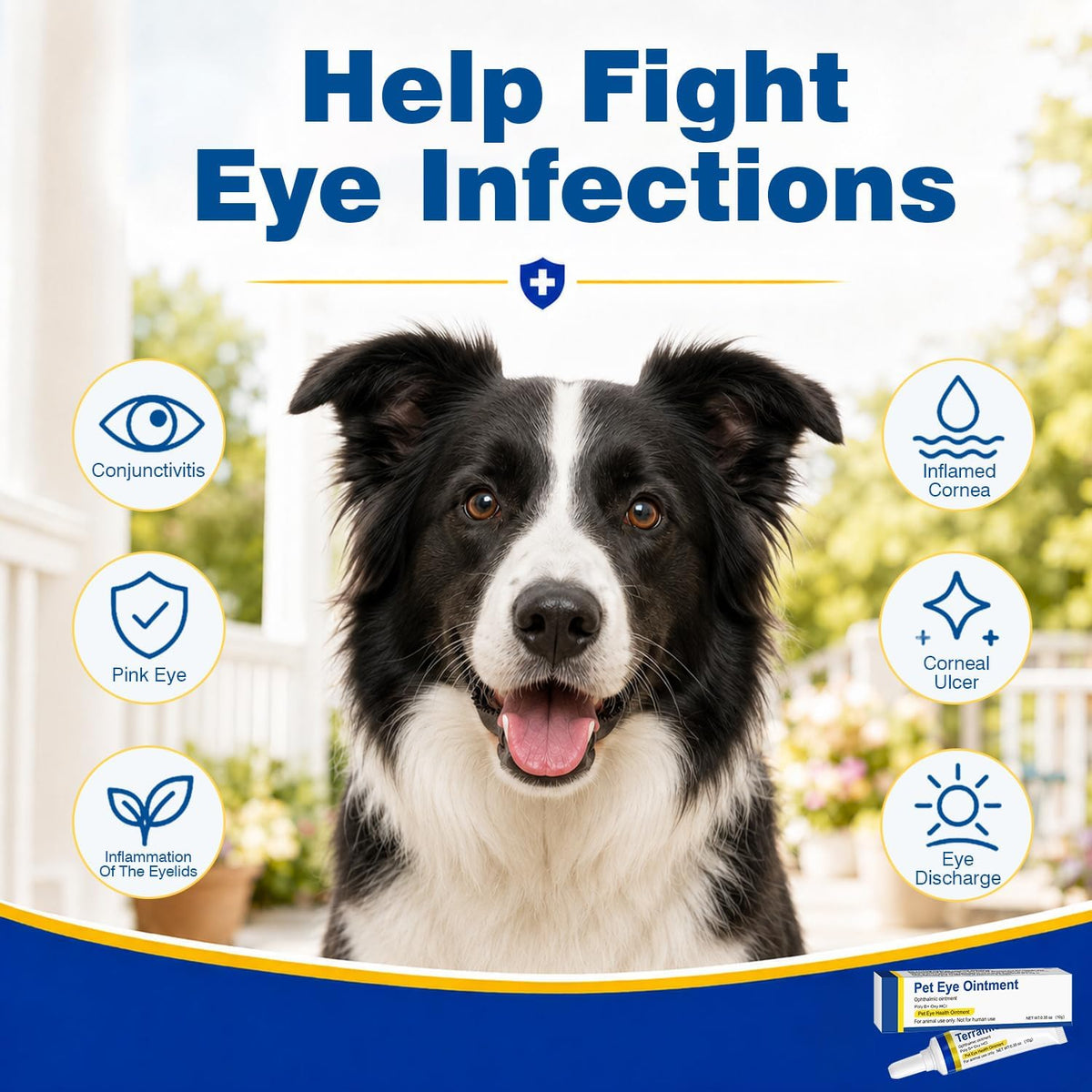 Pet care formula tube for cat and dog eye hygiene