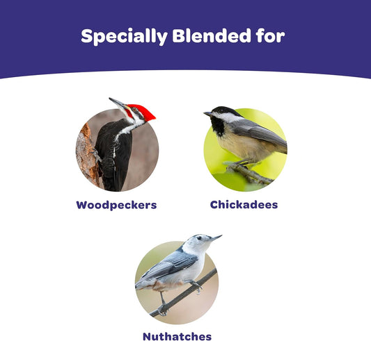 Kaytee premium wild bird seed cake with nuts and seeds